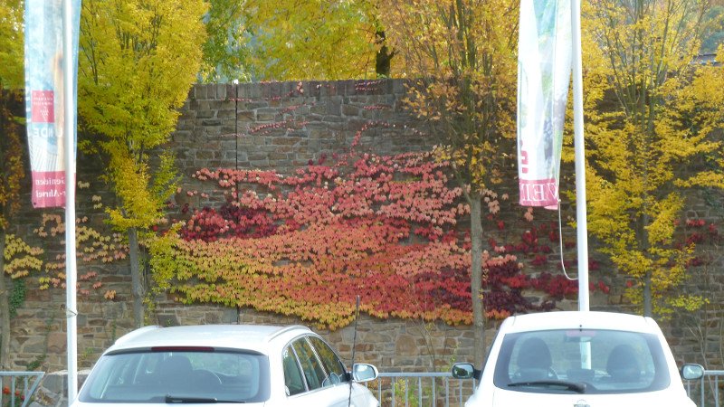 Rotweinwanderung 24.10.2015